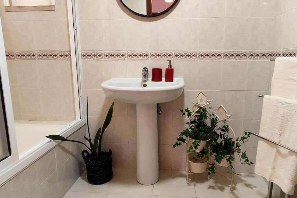 Jardim Sol Holiday Apartment Φουνκάλ Εξωτερικό φωτογραφία